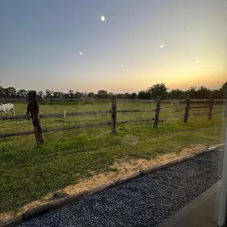 Dom wakacyjny Le Clos De Sur Odon, Un Havre De Paix.