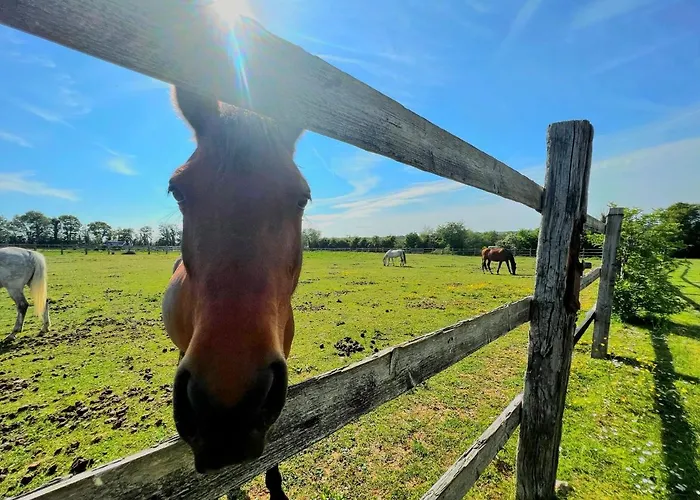 Semesterbostad Le Clos De Sur Odon, Un Havre De Paix. *